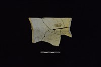 陶罐藏品圖，第2張